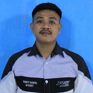 BINTANG BINTANG